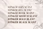 Stinker - Elegant Serif Family