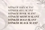 Stinker - Elegant Serif Family