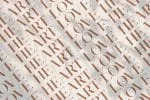 Stinker - Elegant Serif Family