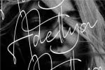 Stone Garden Script Font