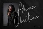 Stone Garden Script Font