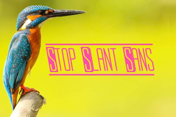 Stop Slant Sans Font