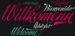 Storefront Pro Font