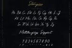 Storywise Font