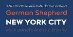 Stray Font Family