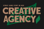Stray Sans Font