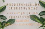 Streamline Font