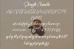 Strength - Authentic Handbrushed Font