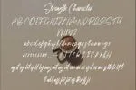 Strength - Authentic Handbrushed Font
