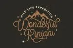 StringLabs - Monoline Retro Font