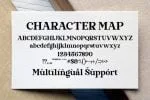 Stylish California Font