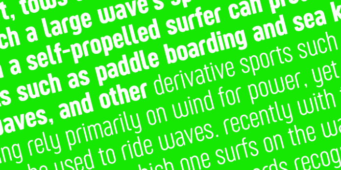 Sugo Pro Family - 20 Styles Font