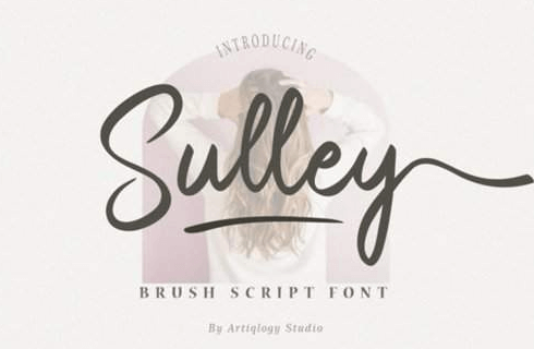 Sulley Font