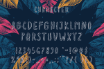 Summer Boom Font