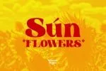 Summer Holiday Font