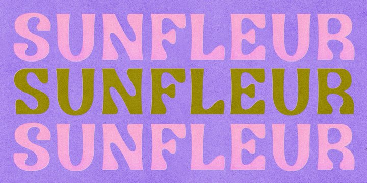 Sunfleur Display Font