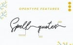 Sunflower Freehand Signature Font