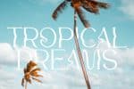 Sunkissed Tropics Font