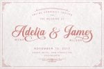 Sunshine & Vintage Ornaments Font