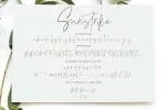 Suntrike Signature Modern Font