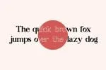 Swampcity Font