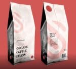 Swampcity Typeface Font