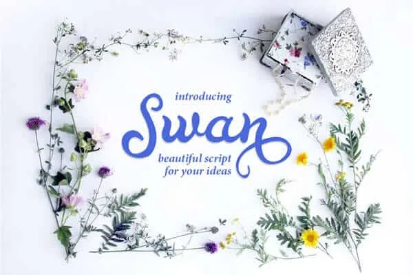 Swan Font
