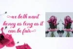 Sweden Love Font