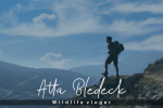 Sweet Blues Font