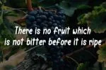 Sweet Grape Font