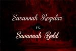 Sweet Home Savannah Font