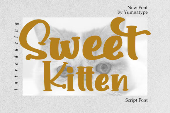 Sweet Kitten Font Font