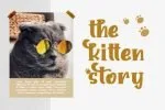 Sweet Kitten Font Font