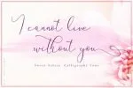 Sweet Salssa Font