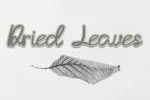 Sweet Style Font