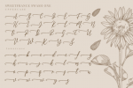 Sweetfrance Font