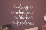 Sweetness Script Font