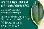 Sweety Renna Font