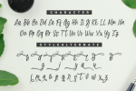 Swishine Font