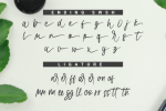 Swishine Font