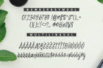 Swishine Font