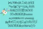 Sympathetic Font