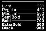 Radnika Next Font