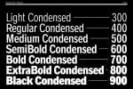 Radnika Next Font