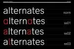 Radnika Next Font