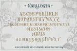 Carllosta Family Font