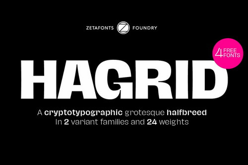 Hagrid & Hagrid Text