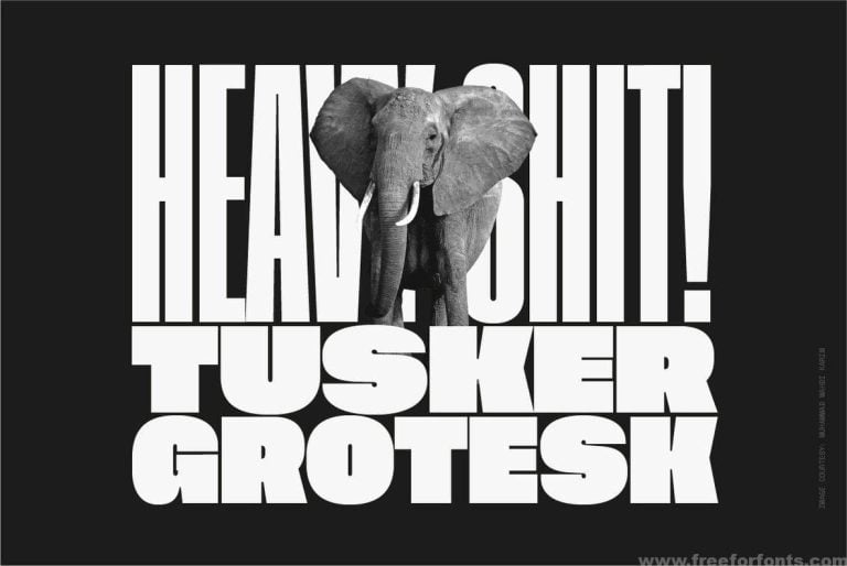 Tusker Grotesk Font Family Free Download
