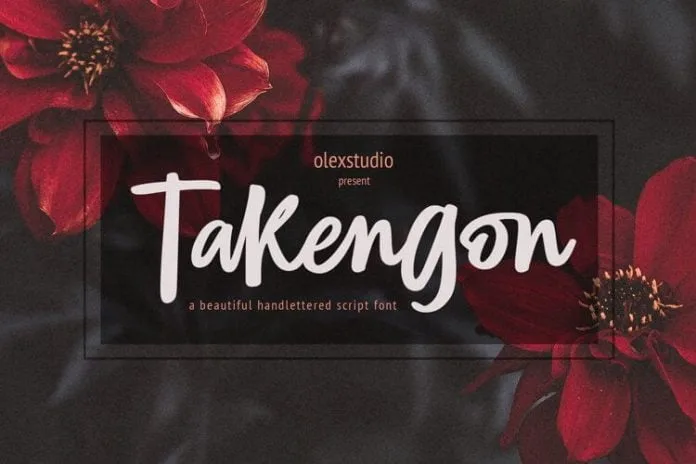 TAKENGON - Script