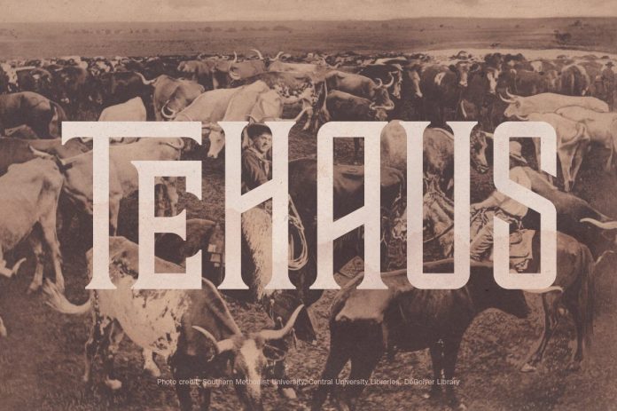 TEHAUS Typeface